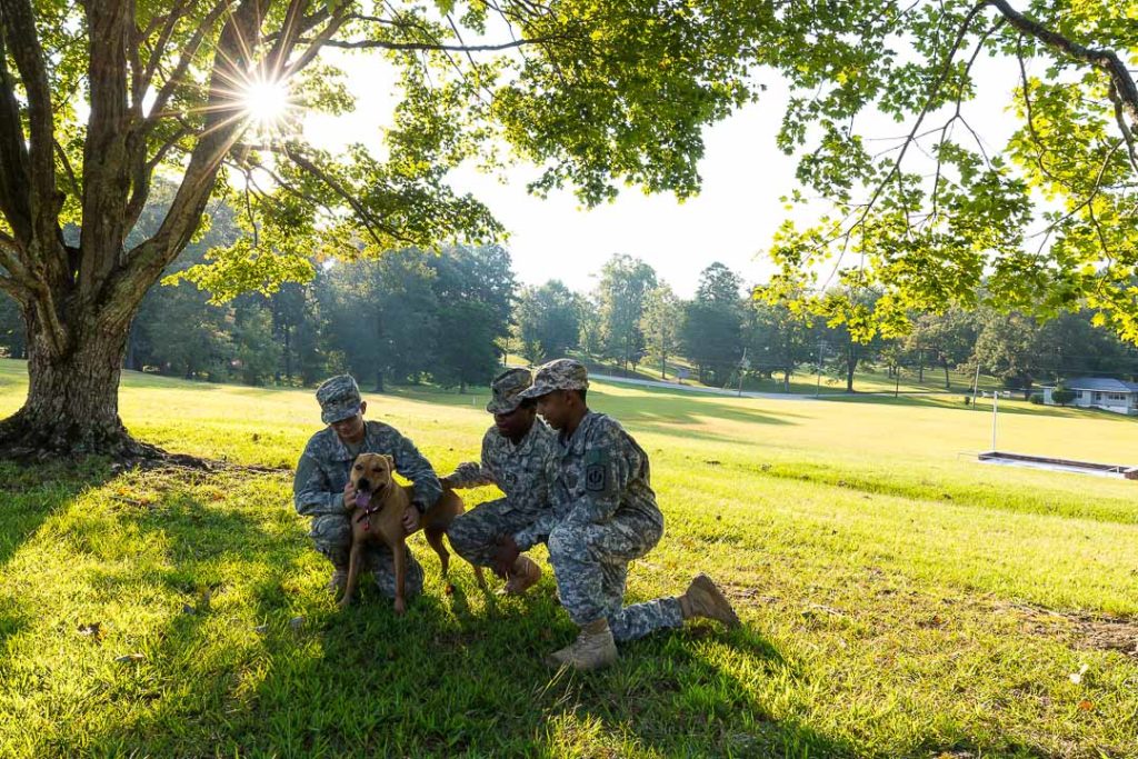 three cadets petting a dog